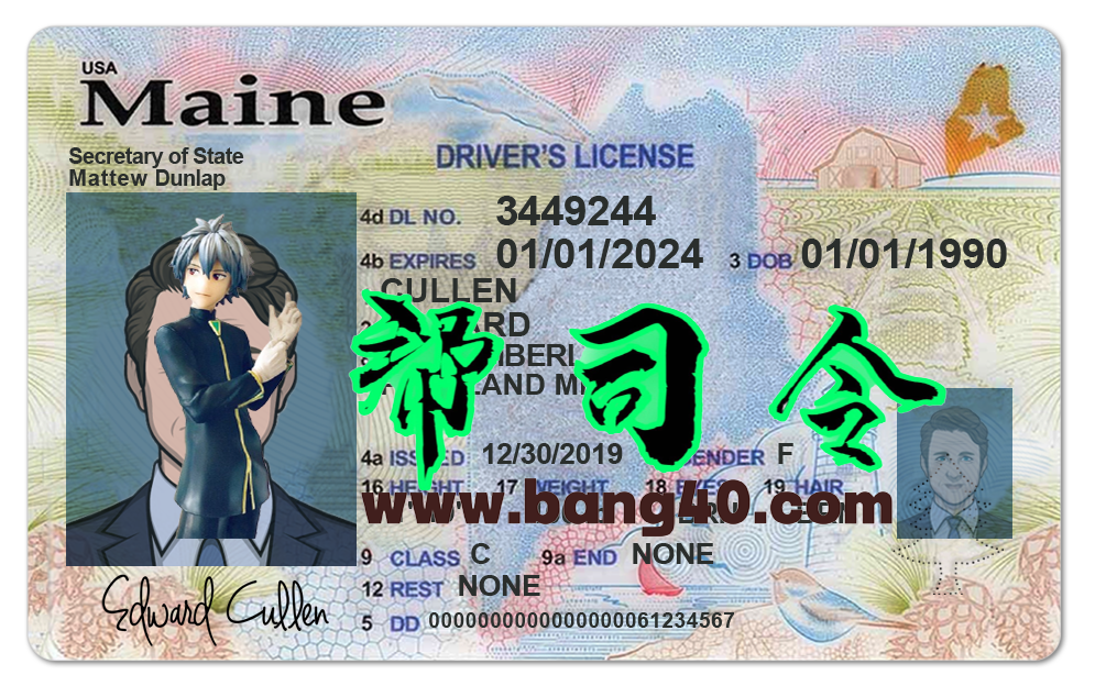 美国缅因州Maine DL新版驾驶证/驾照高质量PS/PSD模板