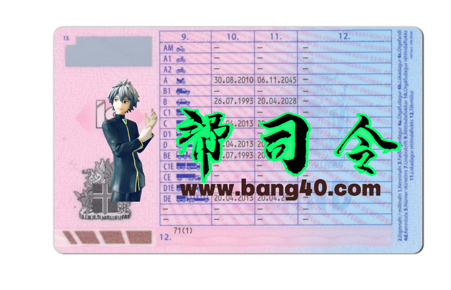 图片[2]-冰岛驾照/驾驶证PS/PSD模板