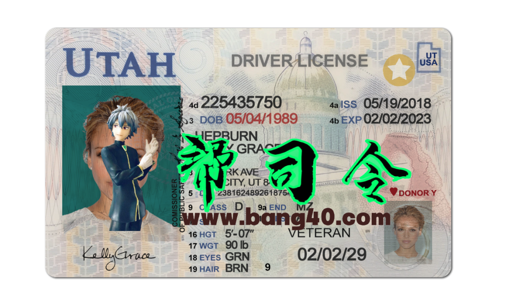 美国犹他州Utah DL驾驶证/驾照高质量PSD模板/photoshop/PS