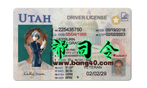 美国犹他州Utah DL驾驶证/驾照高质量PSD模板/photoshop/PSUtah DL driver's license / license high quality PSD template / photoshop / PS-帮司令