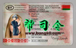 白俄罗斯驾照/驾驶证PSD模板（V1）/PS/PhotoshopBelarus driver's license / driver's license PSD template (V1) / PS / Photoshop-帮司令