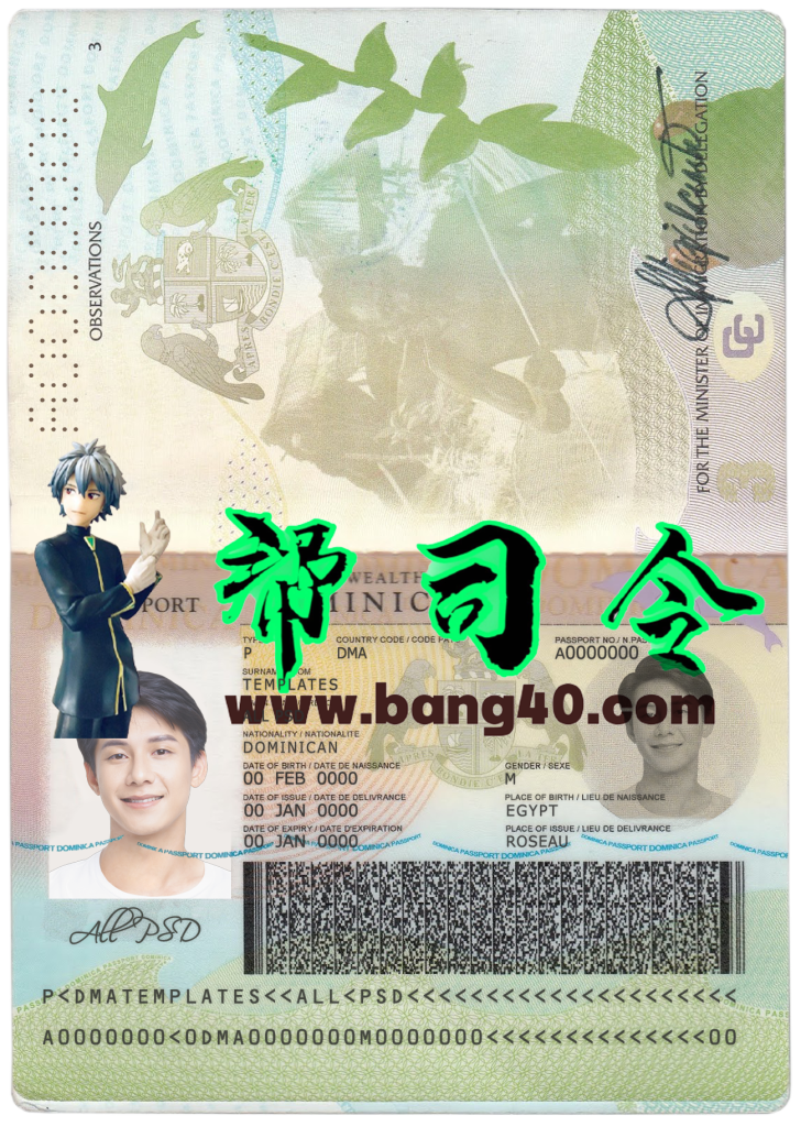 多米尼克护照PS/PSD模板
