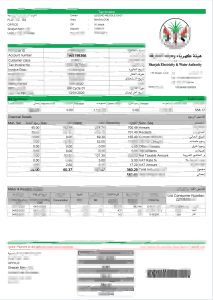 阿联酋公用事业/水电费/税收账单pdf模板（V2）UAE Utility/Water/Tax Bill PDF Template (V2)-帮司令
