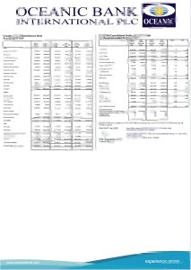 尼日利亚银行账单/KYC地址证明pdf模板Nigeria bank statement/KYC proof of address pdf template-帮司令
