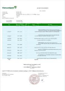 越南银行信用卡账单/KYC地址证明pdf模板Vietnam bank credit card statement/KYC address proof pdf template-帮司令