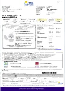 印度塔塔电信话费账单pdf模板India Tata Telecom phone bill pdf template-帮司令