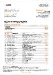 Word 和 PDF 格式法国镍业银行对账单模板French Nickel bank statement template in Word and PDF formats-帮司令
