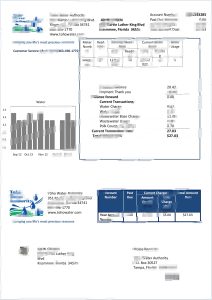 美国佛罗里达州 Toho 水务局水电费账单模板Toho Water Department Utility Bill Template, Florida, USA-帮司令