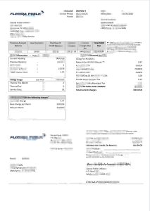 美国佛罗里达州公用事业账单Word和PDF模板Florida Utility Bill Word and PDF Template-帮司令