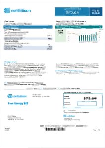 美国加利福尼亚州圣赫勒拿市水电费账单模板St. Helena, California, USA utility bill template-帮司令