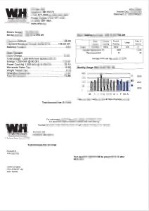 美国明尼苏达州赖特-亨内平公用事业法案 Word 和 PDF 模板Minnesota Wright-Hennepin Utility Bill Word and PDF Template-帮司令