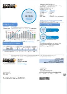 美国印第安纳州蒂普蒙特水电费账单模板Tipmont Indiana utility bill template-帮司令
