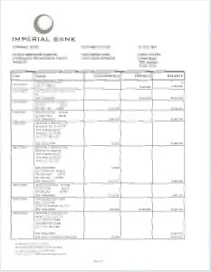 南非帝国银行对账单模板South African Imperial Bank Statement Template-帮司令