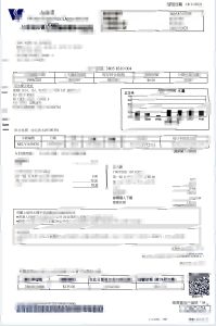 香港水务署水电费账单Word和PDF模板Hong Kong Water Supplies Department Utility Bill Word and PDF Template-帮司令