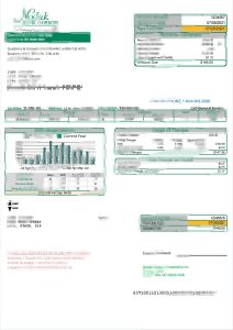 美国北达科他州 Nodak 电力合作社公用事业账单Nodak Electric Cooperative Utility Bill, North Dakota, USA-帮司令