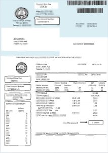 美国佛罗里达州水费账单Word和PDF模板Florida Water Bill Word and PDF Template-帮司令