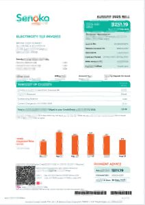 新加坡圣诺哥能源发票模板Singapore Senoko Energy Invoice Template-帮司令