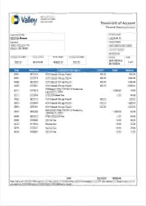 美国山谷银行对账单模板（Word 和 PDF 格式）American Valley Bank Statement Template (Word and PDF Formats)-帮司令