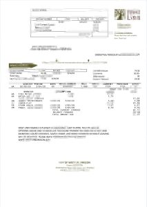 美国俄勒冈州西林恩市水电费账单模板（Word 和 PDF 格式）USA Oregon City Of West Linn Utility Bill Template In Word And PDF Format-帮司令