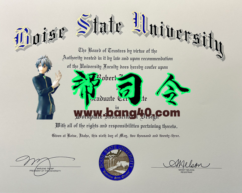博伊西州立大学 PSD 模板的证书