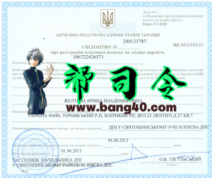 乌克兰税务文件 PSD 模板Ukraine TAX Document PSD Template-帮司令