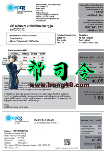 （EPCG）电费账单模板(EPCG) electricity utility bill template-帮司令