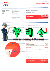 波兰UPC公用事业账单PSD模板POLAND UPC utility bill psd Template-帮司令