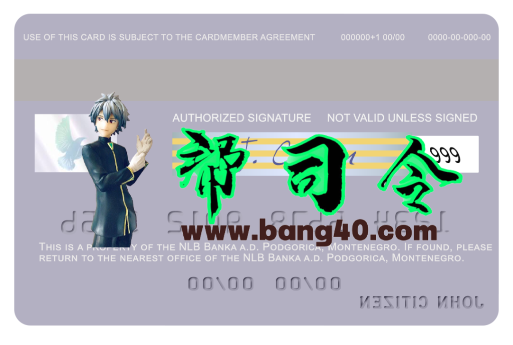 图片[2]-黑山 NLB 银行广告波德戈里察银行 Visa 借记卡 PSD 模板