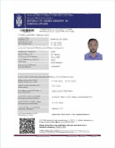 塞尔维亚电子签证模板（Word 和 PDF 格式）Serbia E-Visa Template In Word And PDF Format-帮司令