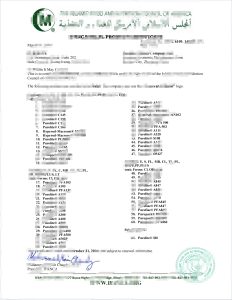哈萨克斯坦商业证书模板Kazakhstan Business Certificate Template-帮司令