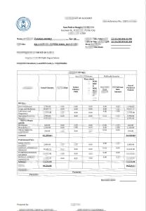 达沃市圣佩德罗医院水电费账单模板San Pedro Hospital of Davao City Utility Bill Template-帮司令