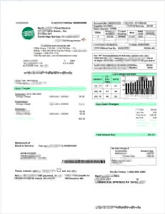 美国西北部农村电力账单Word和PDF模板USA Northwestern Rural Electric Utility Bill Word And PDF Template-帮司令