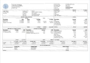 美国加州大学教育公司工资单模板USA University of California educational company pay stub template-帮司令