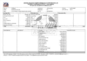 印度 APGENCO 工资单模板India APGENCO Paystub template-帮司令