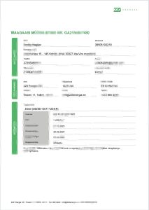 爱沙尼亚 220 能源模板（Word 和 PDF 格式）Estonia 220 Energia Template in Word and PDF Format-帮司令