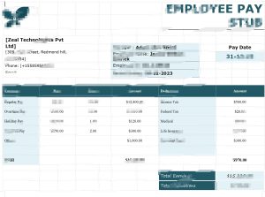 员工工资单模板（Word 格式）Employee Pay Stub Template in word format-帮司令