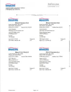 美国家庭保险模板American Family insurance Template-帮司令
