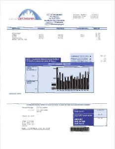 美国爱荷华州得梅因市水费账单Word和PDF模板USA Iowa City Of Des Moines Water Utility Bill Word And PDF Template-帮司令