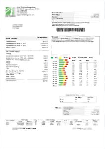 美国安大略省伊利市泰晤士河水电费账单Word和PDF模板USA Ontario Erie Thames Utility Bill Word And PDF Template-帮司令