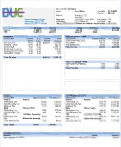 美国迪克森大学中心教育公司工资单Word和PDF模板USA Dixon University Center educational company pay stub Word and PDF template-帮司令