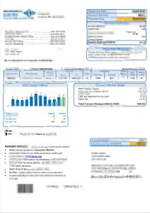 美国北卡罗来纳州布伦瑞克电力账单Word和PDF模板USA North Carolina Brunswick Electric Utility Bill Word And PDF Template-帮司令