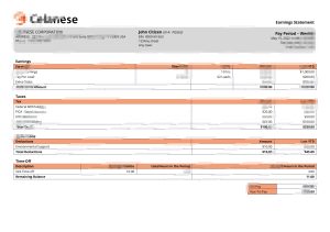 美国塞拉尼斯科技公司工资单Word和PDF模板USA Celanese technology company pay stub Word and PDF template-帮司令