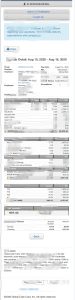 全球现金卡工资单模板Global Cash Card Pay Stub Template-帮司令