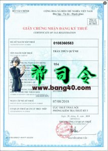 越南公司税务登记证PS/PSD模板Vietnam Company Tax Registration Certificate PS/PSD Template-帮司令