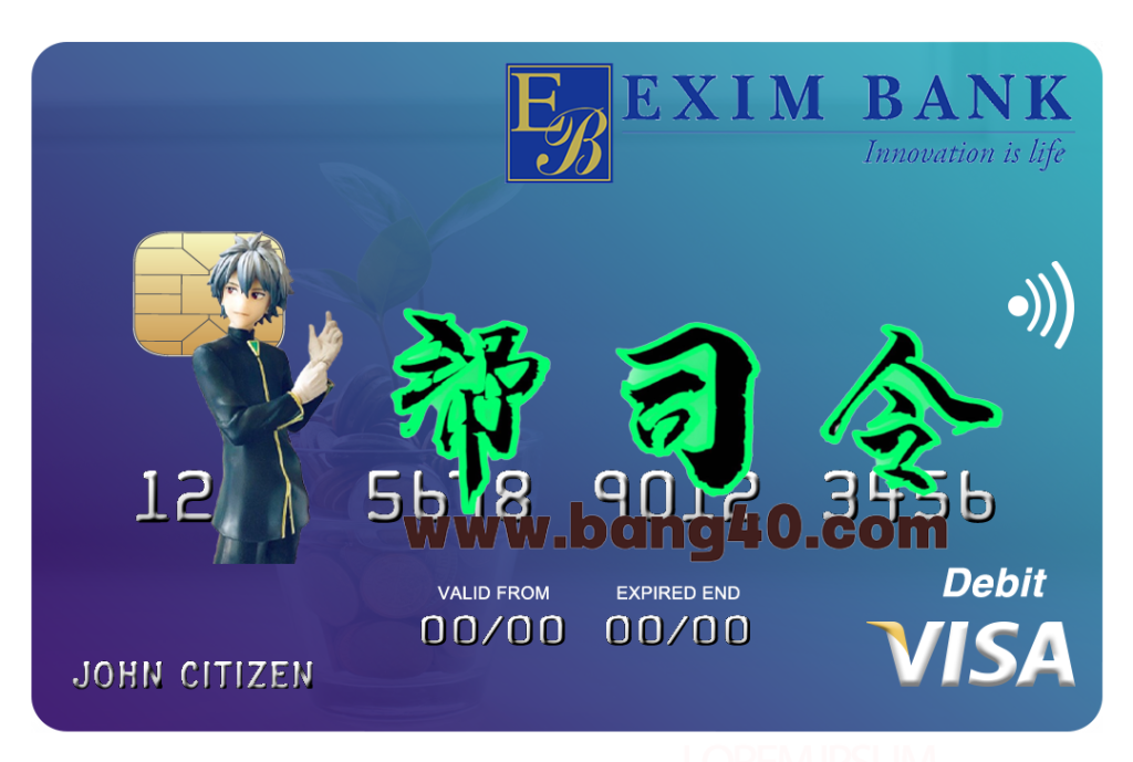 吉布提进出口银行 Visa 借记卡 PSD 模板