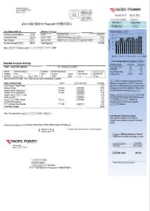 美国太平洋电力公司公用事业账单Word和PDF模板（2页）USA Pacific Power Utility Bill Word And PDF Template (2 pages)-帮司令