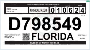 美国佛罗里达州临时登记证书模板（Word 和 PDF 格式）United States Florida Temporary Registration Certificate Template in Word and PDF Format-帮司令