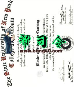 纽约大学 SUNY 证书 PSD 模板University Of New York SUNY Certificate PSD Template-帮司令