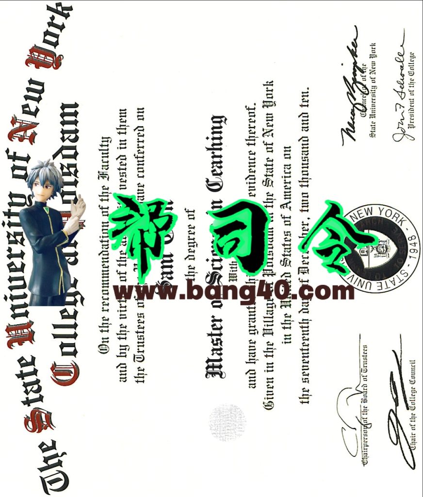 纽约大学 SUNY 证书 PSD 模板