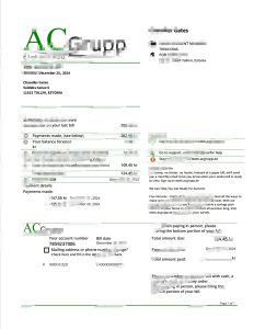 ACGrupp 爱沙尼亚电费单模板ACGrupp Estonia Electricity Bill Template-帮司令